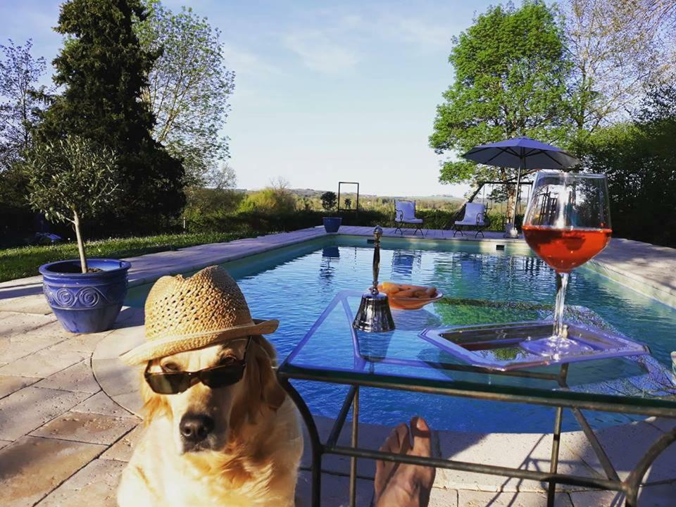 Domaine Du Merlot Sainte-Sabine-Born 외부 사진